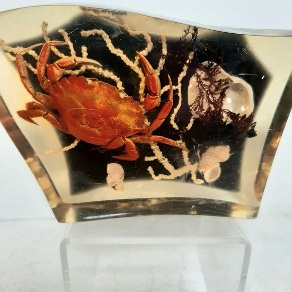 Decorative Resin Art with Crab and Seashells Paperweight. - Picture 1 of 7